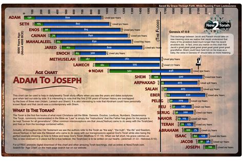 Timeline From Adam To Abraham Stage 8 | His Kingdom