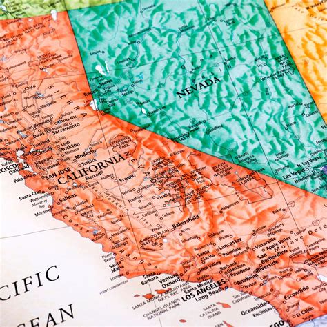 The Golden State's Greenery: Exploring California's Native Plants