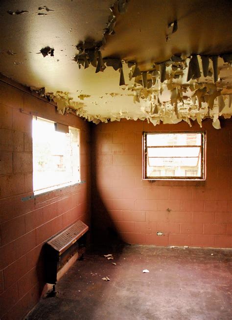 Henry Horner Homes - Chicago Gang History