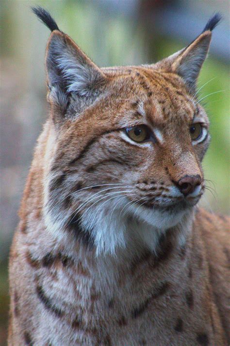 Mom+Big+Boobs Photos, Download The BEST Free Mom+Big+Boobs Stock Photos ...