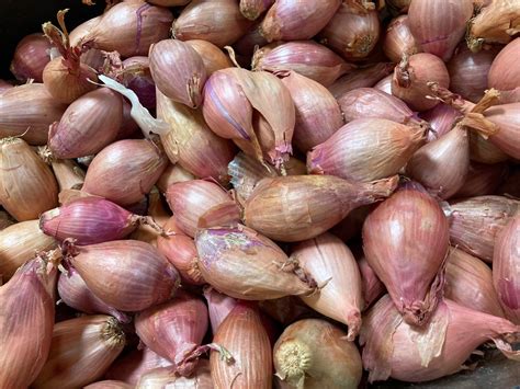 Real Food Encyclopedia - Shallot - FoodPrint