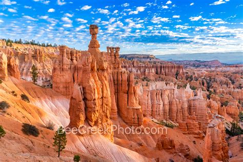 Bryce Canyon Majestic Hoodoos