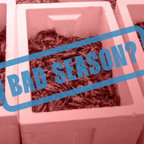 When Is Crawfish Season in Texas? | Houstonia Magazine