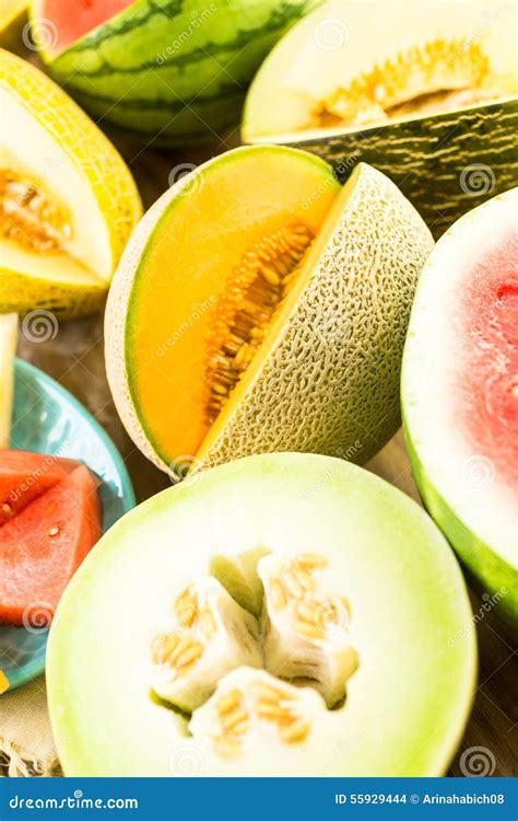Melons stock photo. Image of organic, plant, persian - 55929444