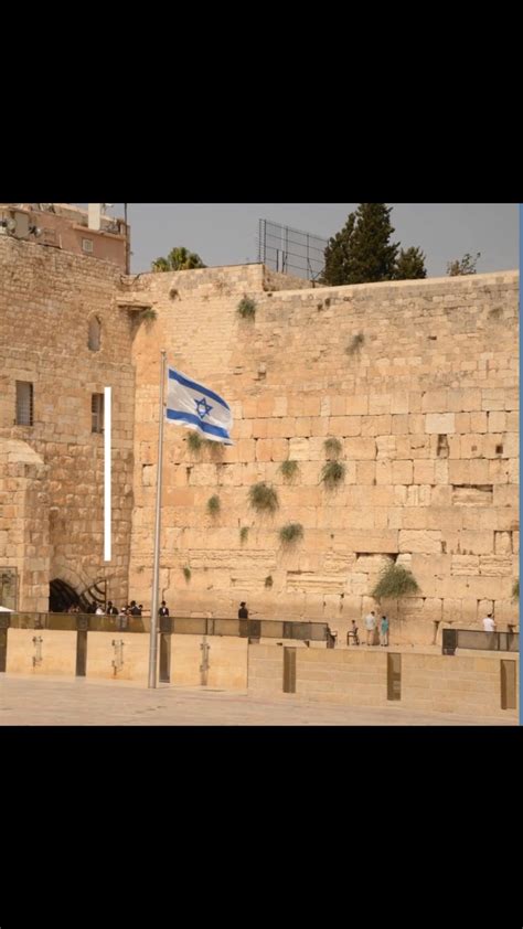 Herut North America | ️ Unapologetic Zionist ️ (@officialherutna ...