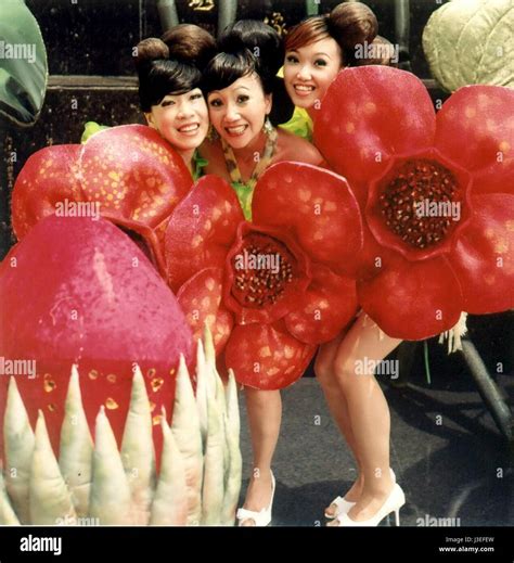 Wayward cloud hi-res stock photography and images - Alamy