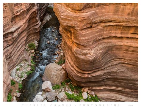 Tapeats Creek, Deer Creek Trail, Grand Canyon - Photographs by Charles ...