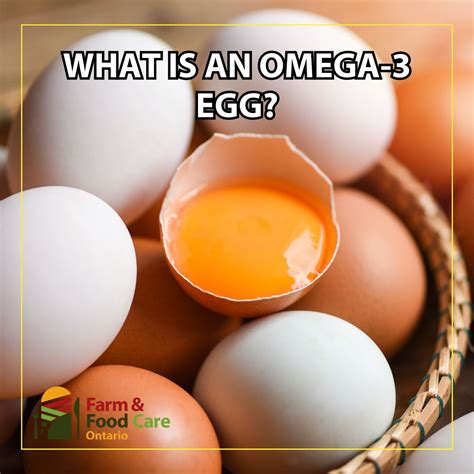 Farm & Food Care Ontario on LinkedIn: Omega-3 eggs are simply eggs very ...