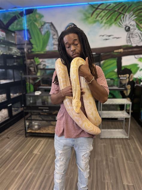 Natty Love The Constrictors! : r/knotnation