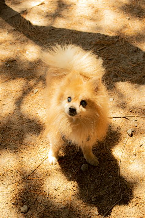 Boob+Tan+Lines Photos, Download The BEST Free Boob+Tan+Lines Stock Photos & HD Images