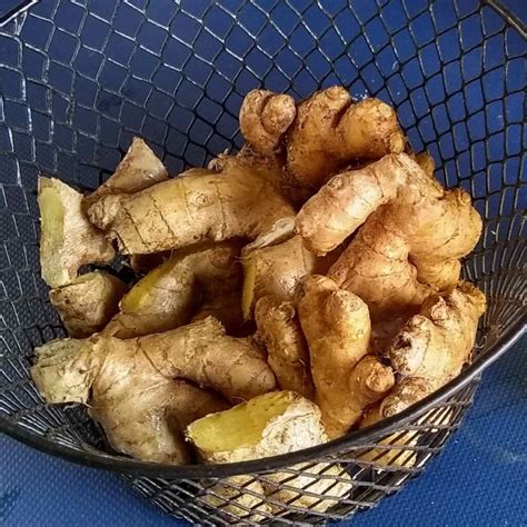 Health benefits of ginger beer - Proven to be healthy! - Food For Life ...