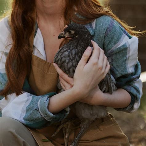 Can Chickens Eat Bananas & Banana Peels? - The Peasant's Daughter