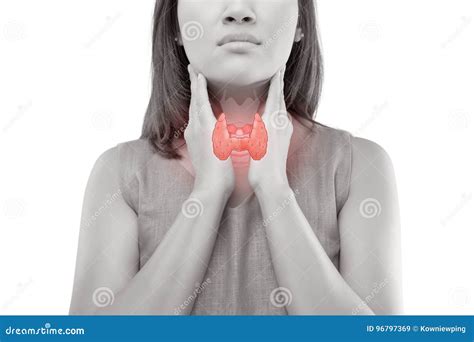 Control De La Glándula Tiroides De Las Mujeres Imagen de archivo ...