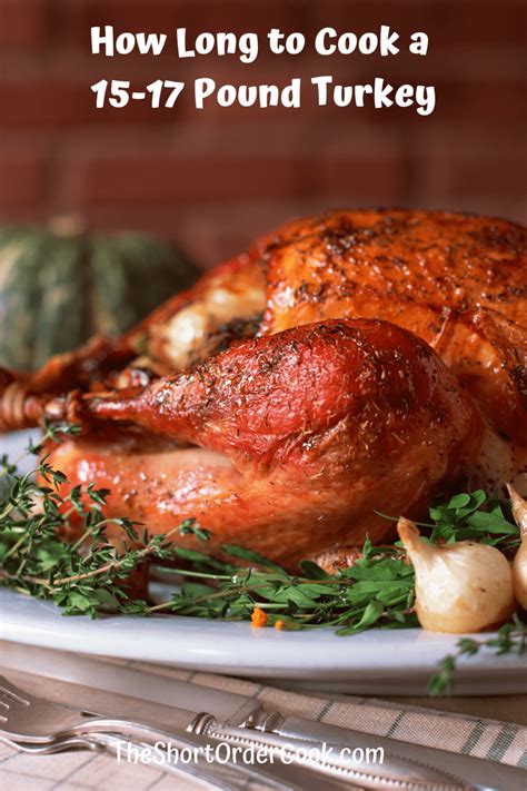 How Long to Cook a 15-17 Pound Turkey - The Short Order Cook
