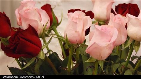 Bertha Belle Barlow, 84 of Kirksville, Davis-Playle-Hudson-Rimer ...