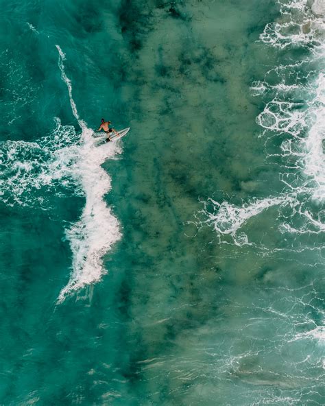 Beach+Boners+Men Photos, Download The BEST Free Beach+Boners+Men Stock ...