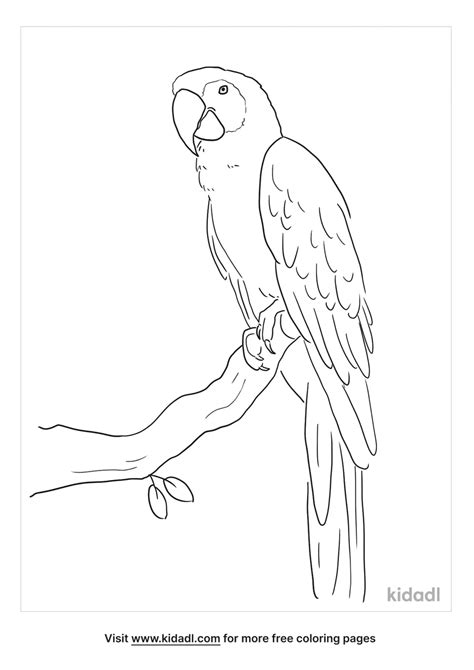 Honduras Coloring Pages Honduras Coloring Crayola Pages Flag Central ...