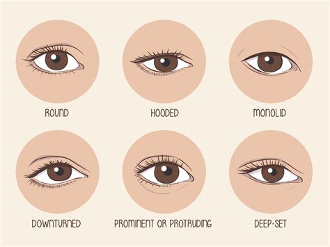 アーモンド形の目かどうか見分ける方法:メイクアップのコツも