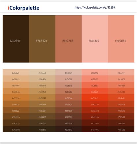 What Color is Apricot A Friendly Guide