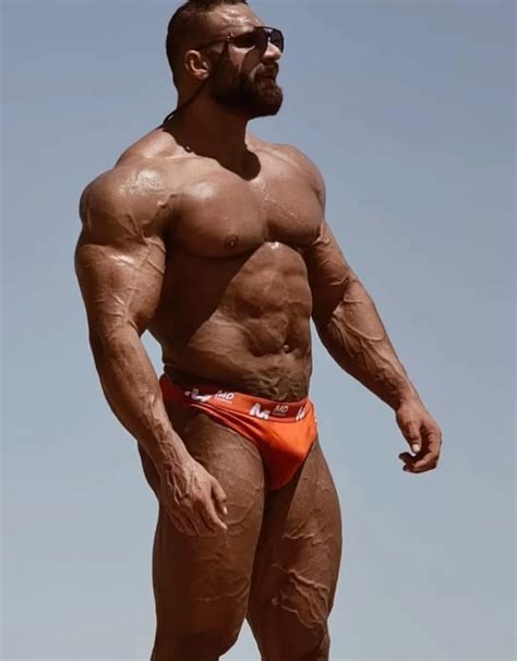 Bo Stallion Porn Videos