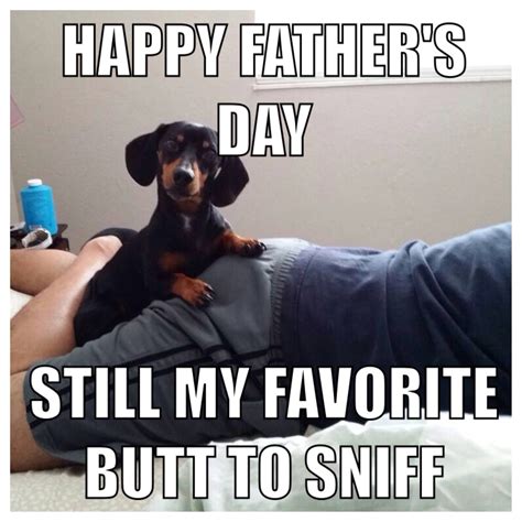 Happy Father's Day meme from dog funny dachshund | Happy fathers day ...