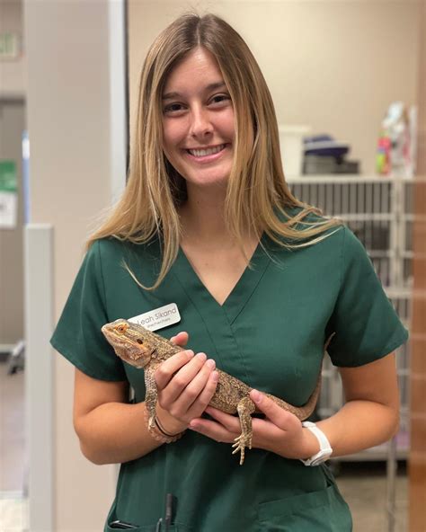 White Rock Veterinary Hospital (@whiterockvet) • Instagram photos and ...