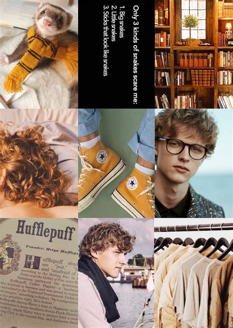 Justin Finch-Fletchley Aesthetic inspiration Harry Potter hufflepuff ...
