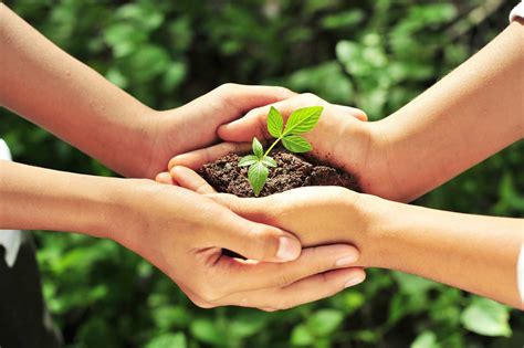 Obits Midland Tx - Piwik Thecable