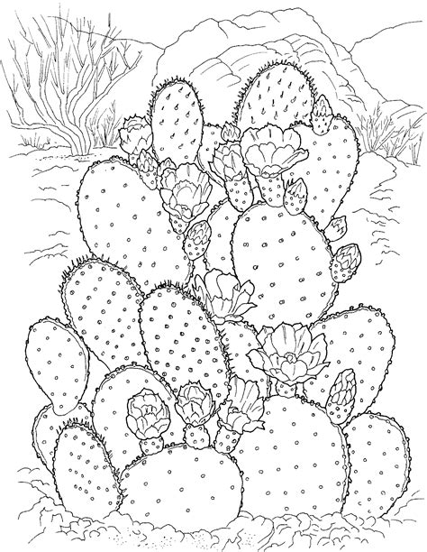 Free Printable Cactus Coloring Pages For Kids