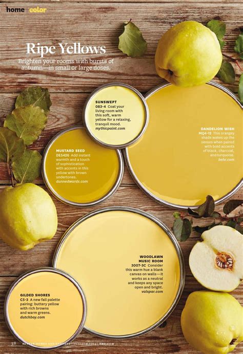 Paint Color Warm Yellow