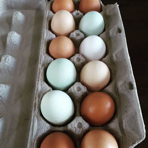 Pasture Raised Meats and Organic Products - Jubilee