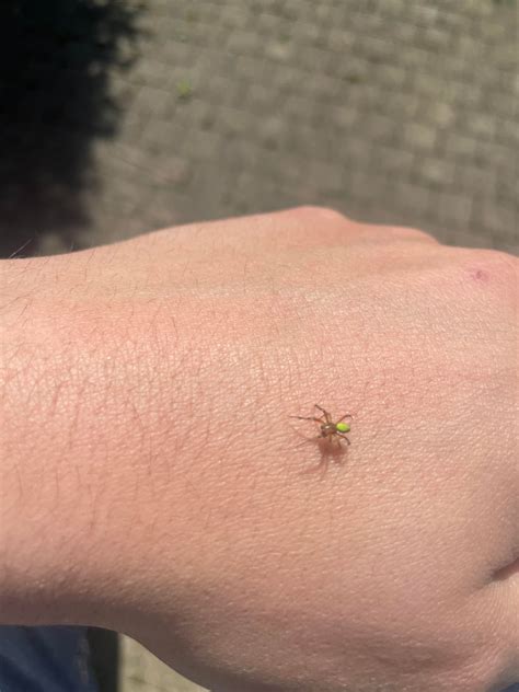 What is this ? : r/biology