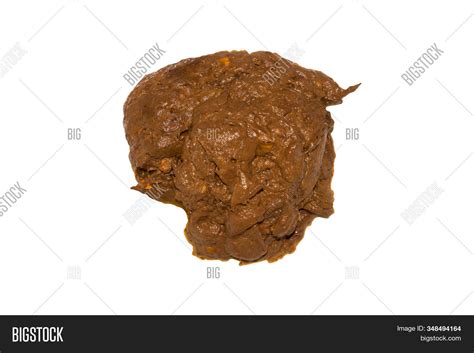 Human Poop In Yard at Noah Stretch blog