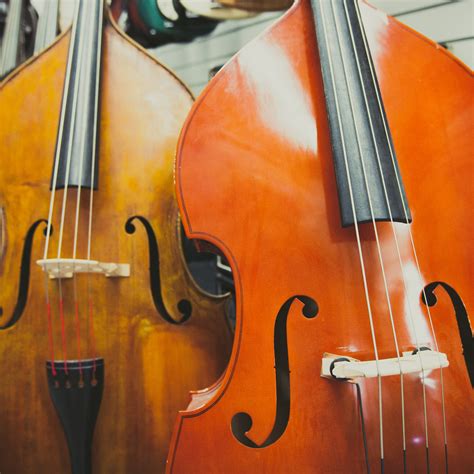 Double Bass Transposing Instrument at Nick Lopez blog