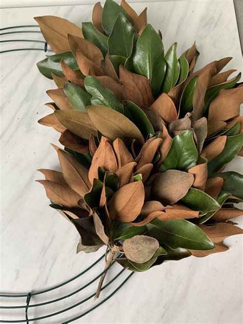 An easy and cheap diy magnolia wreath – Artofit