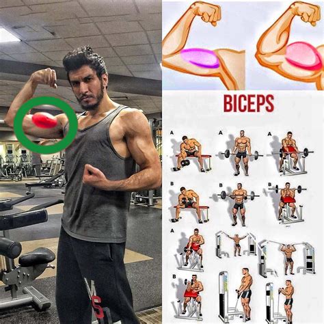 Biceps Workout #Biceps #BicepsExercises #BicepsWorkout | Biceps workout ...