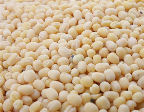 Images Urad Gota In Telugu References - Heavy Happy