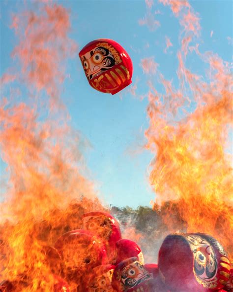 How Many Languages Does Tom Cruise Speak? - LingoFusionHub.com