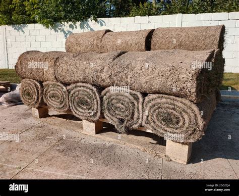 Stack of turf grass rolls for lawn meadow Stock Photo - Alamy
