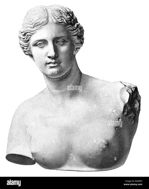 Aphrodite of Milos or Venus de Milo, an ancient Greek statue Stock Photo - Alamy