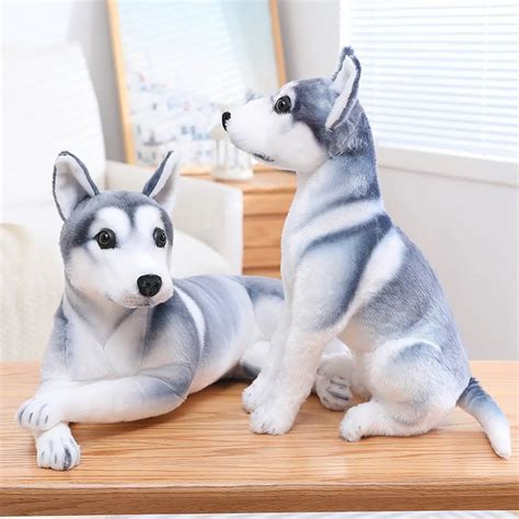 Toy Husky Puppy