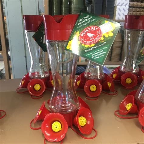 Red Plastic 'Perky Pet' Hummingbird Feeder - For the Birds › Anything Grows