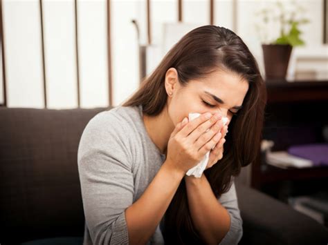 How to Fight Allergies and Save Energy | Beltrami Electric Cooperative