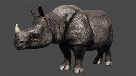 Rhino - 3D Model by Petar Doychev