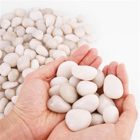 5 lbs Natural Cream White River Rocks 2-3 Inch Polished Decorative ...