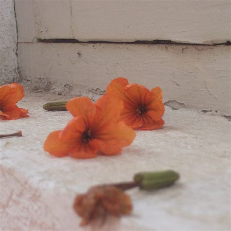 The 19th love theory…. Do you know what is it? | by ren | Medium