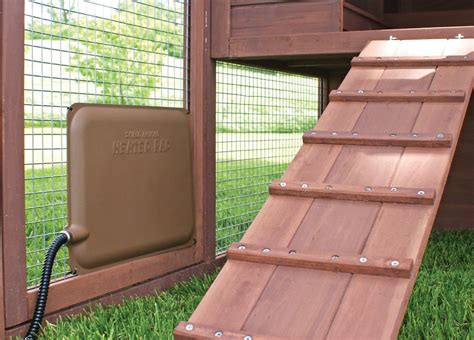 5 Best Chicken Coop Heaters Reviewed (Winter 2026)