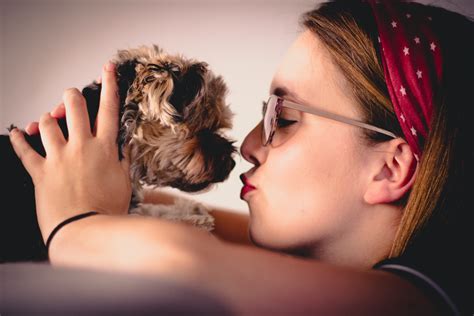 why does your dog lick you- Top Reasons Unveiled Via Latest Researches