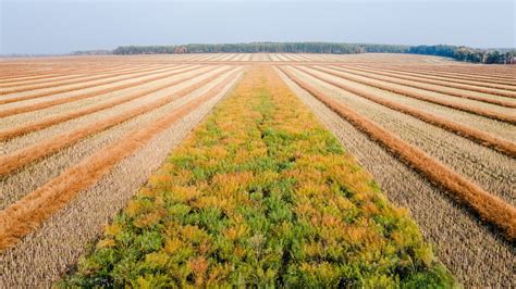 Announcing the Prairie Farmer & Rancher Forum — Farmers for Climate Solutions