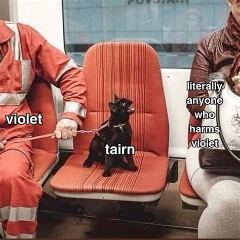 Wings book: Discover 37 ideas from "Fourth Wing Memes"